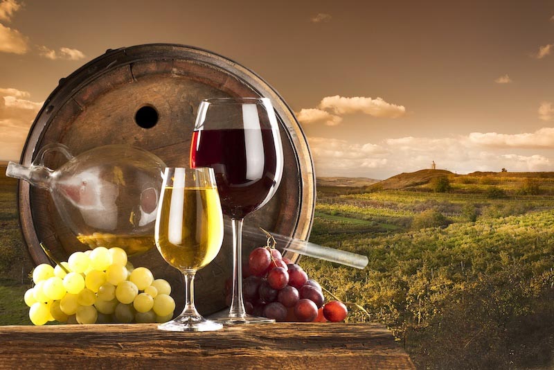 Uvas Y Vino - Papel Pintado