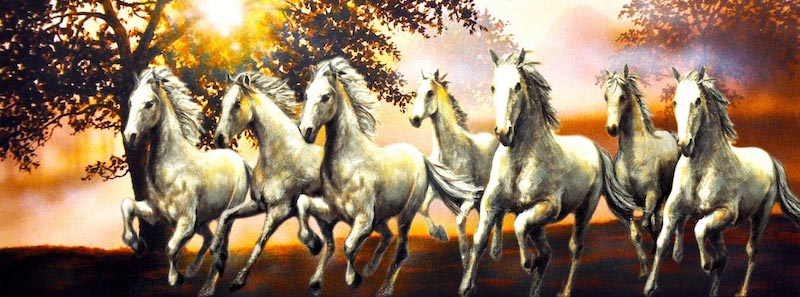 Siete Caballos Libres - Papel Pintado