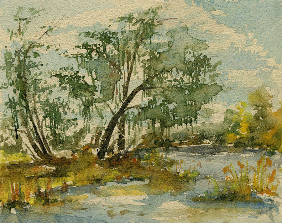Bosque en Acuarela Vintage - Papel Pintado