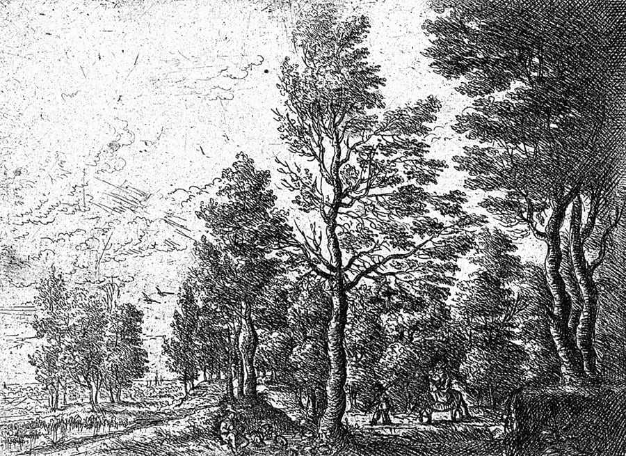 Bosque en Dibujo Blanco y Negro - Papel Pintado