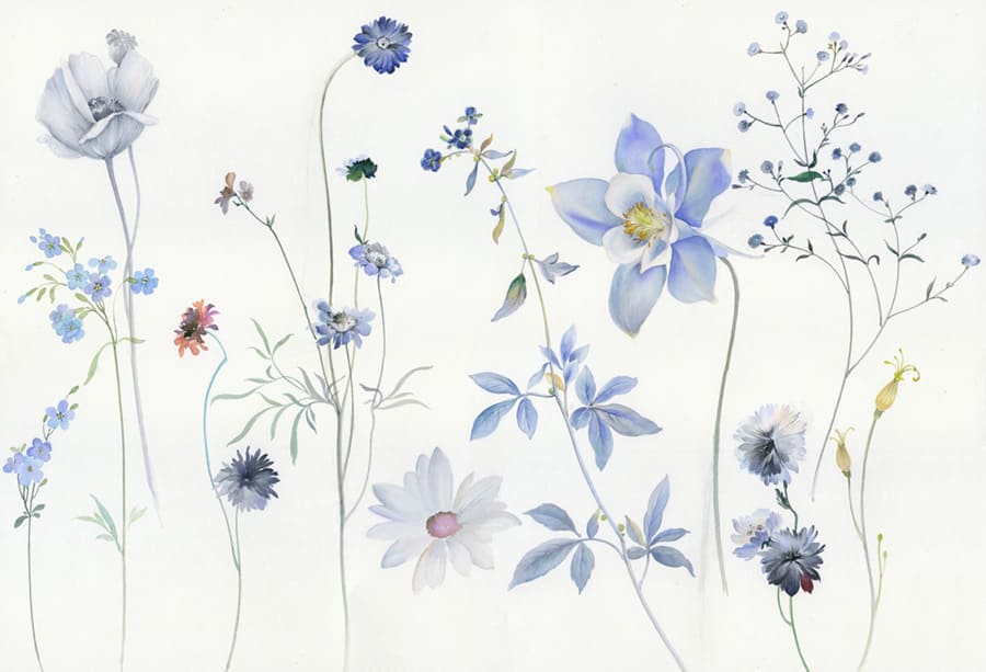 Flores Silvestres Azules en Acuarela - Papel Pintado