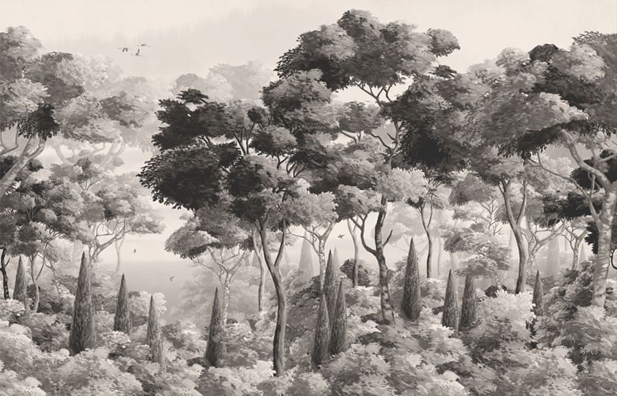 Bosque Brumoso en Tonos Grises - Papel Pintado