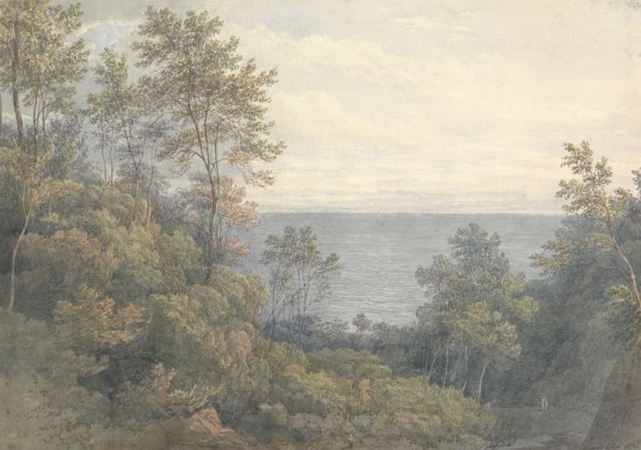 Paisaje Vintage con Vistas al Lago - Papel Pintado