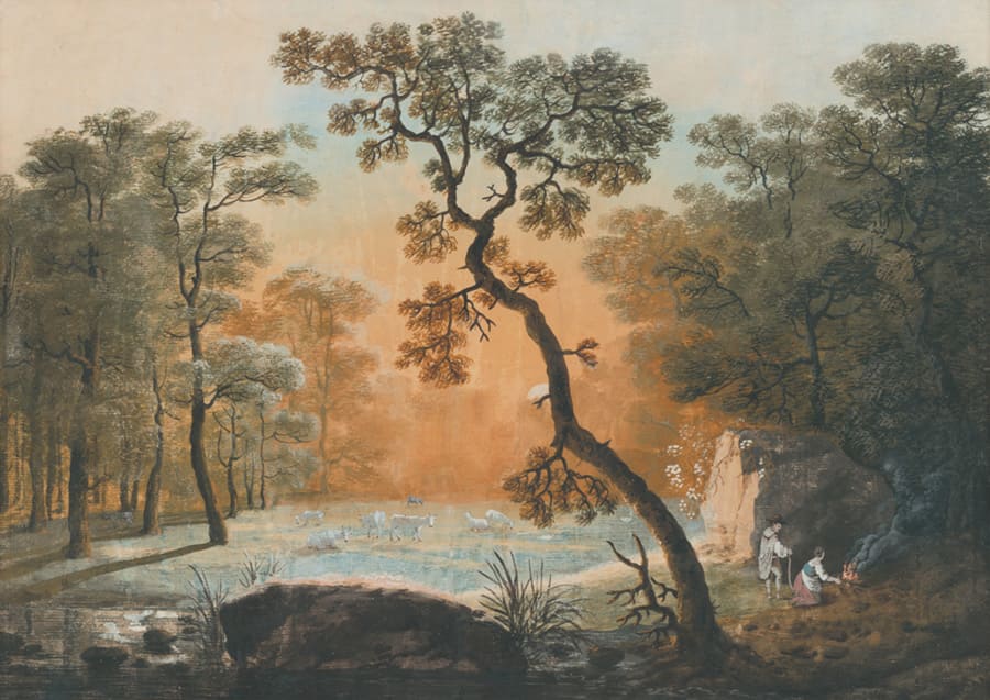 Bosque con Árbol Retorcido - Papel Pintado