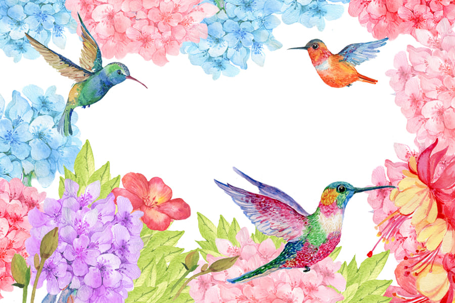 Colibrí Floral - Papel Pintado