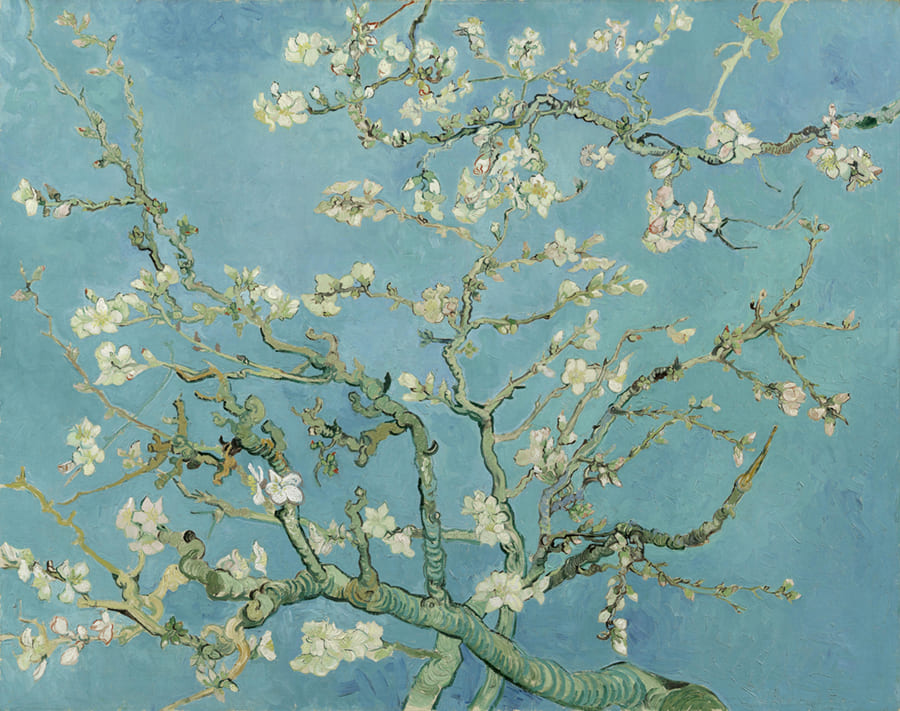 Almendro en Flor de Van Gogh - Papel Pintado