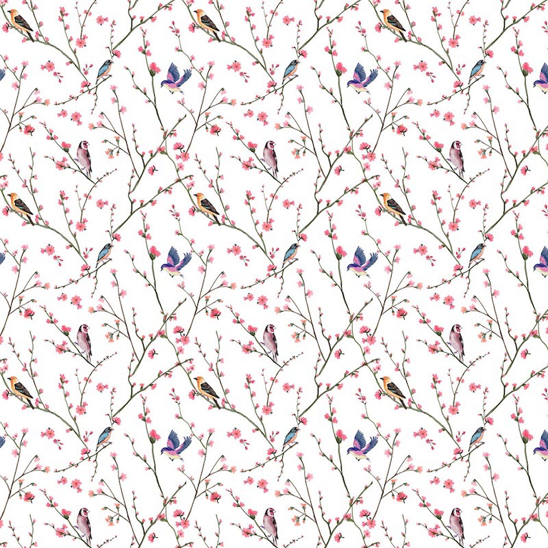 Pájaro En La Rama - Papel Pintado