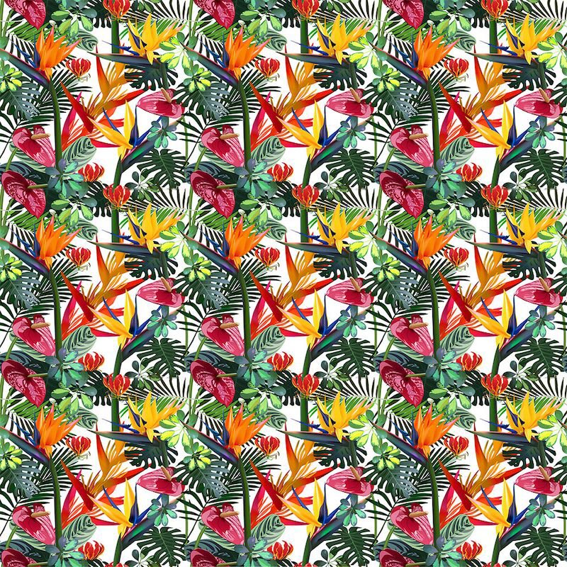 Patrón Floral Tropical - Papel Pintado