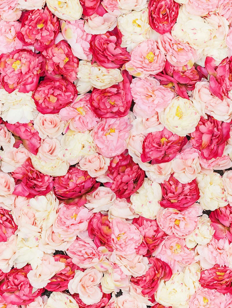 Flores Románticas - Papel Pintado