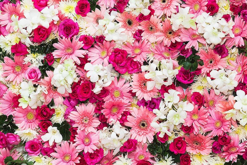 Ramo De Flores Rosas - Papel Pintado