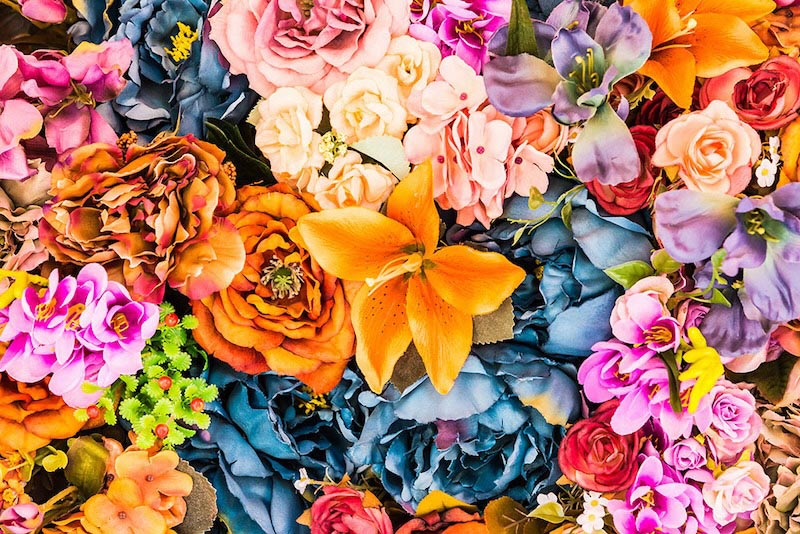 Flores Animadas - Papel Pintado