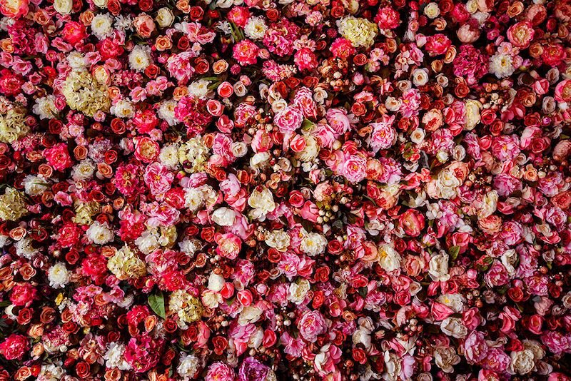 Miles De Rosas - Papel Pintado