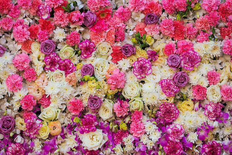Decoración De Pared Con Flores - Papel Pintado