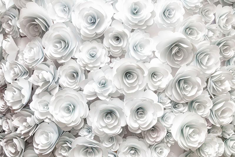 Rosas Blancas - Papel Pintado