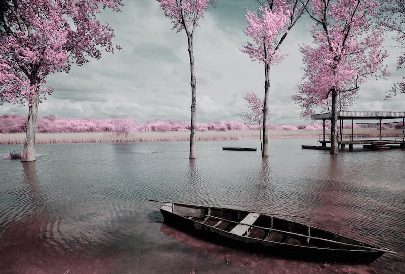 Sandalias De Amor - Papel Pintado