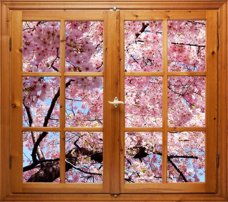 La Primavera Ha Llegado A Mi Casa - Papel Pintado