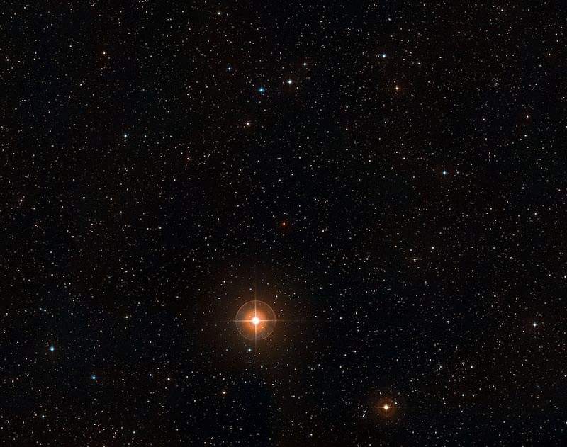 Bajo Las Estrellas - Papel Pintado