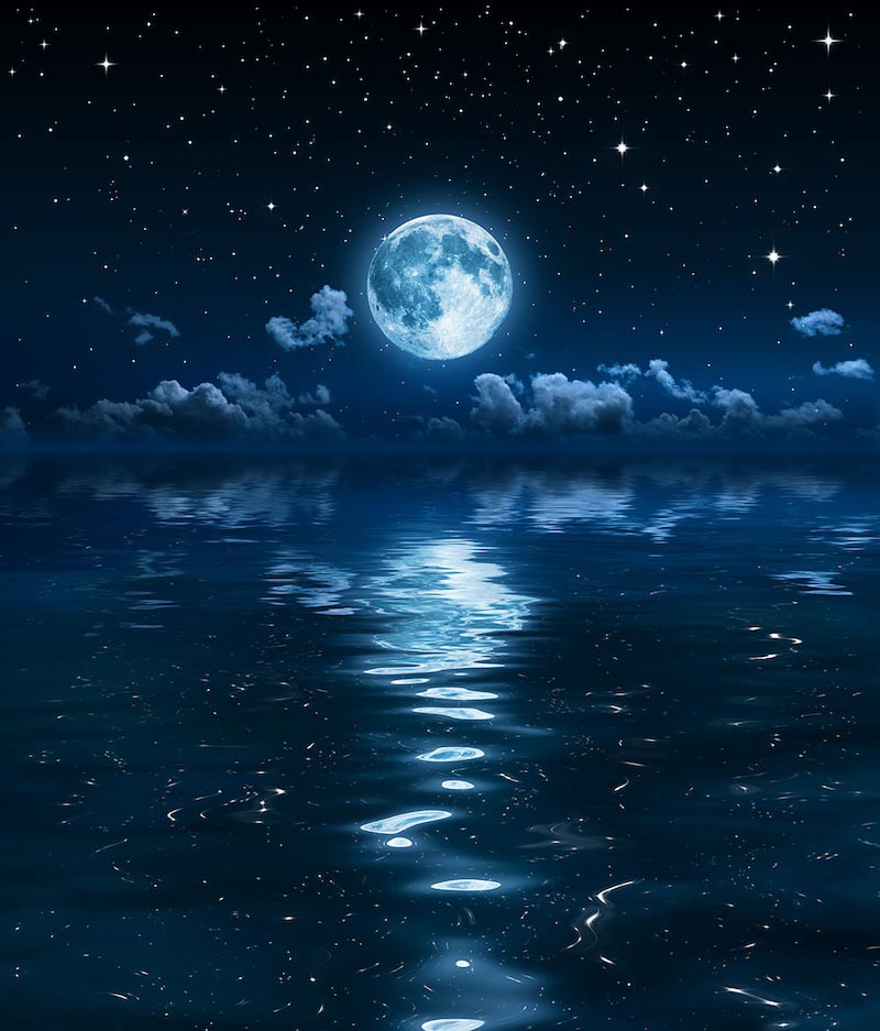 Contra La Luz De La Luna - Papel Pintado