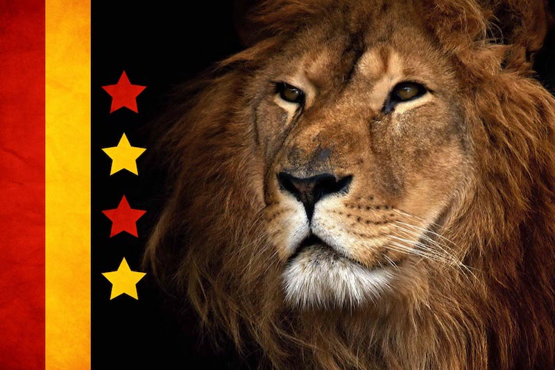 Rey Del Reino - Papel Pintado