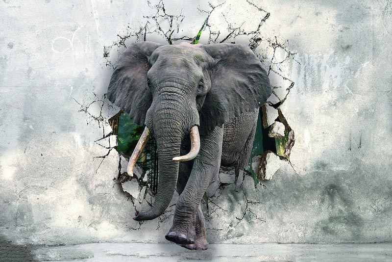Poderoso Elefante - Papel Pintado