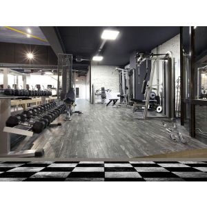 Gimnasio Moderno