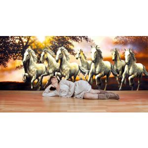 Siete Caballos Libres