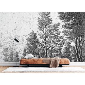 Bosque en Dibujo Blanco y Negro