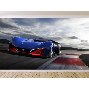 Coche De Carreras Peugeots