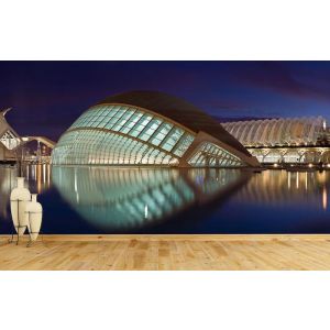 Crepúsculo Hemisférico De Valencia