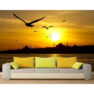 Gaviotas De Estambul