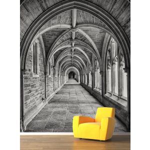 Calle Del Edificio En Blanco Y Negro