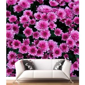 Flores Moradas