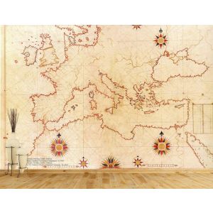 Piri Reis Mapa Del Siglo Xvı En Europa