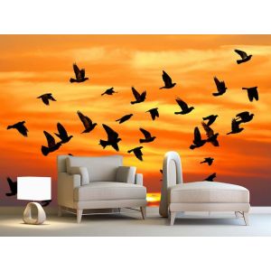 Los Pájaros Vienen En Otoño