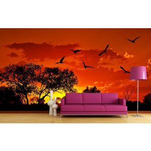 Cielo Rojo