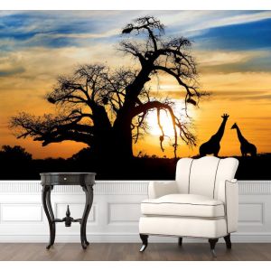 Safari Al Atardecer