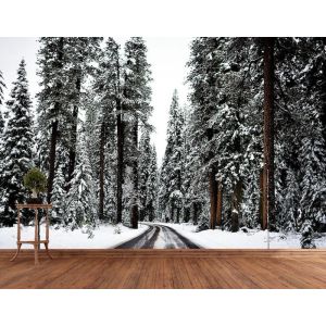 Viajando En La Nieve