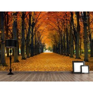 Camino De Otoño