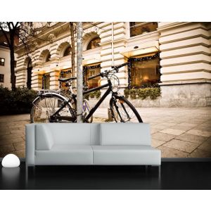 Paseo En Bicicleta