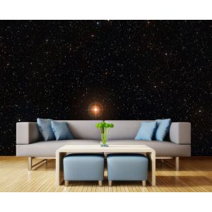 Bajo Las Estrellas