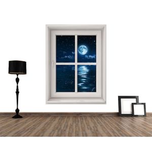 Luz De Luna Desde Mi Ventana