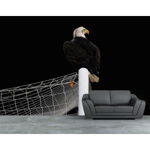 El Aterrizaje Del Águila