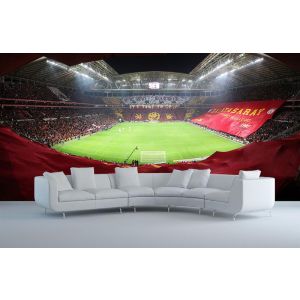 Estadio Galatasaray Turk Telekom Arena