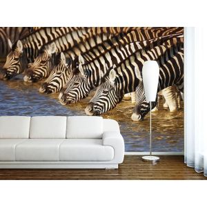 Rotura De Agua