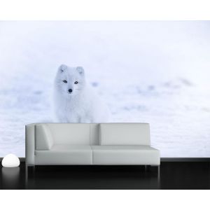 Lobo Solitario