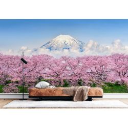 Monte Fuji Flor de Cerezo