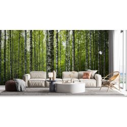 Bosque de Abedules