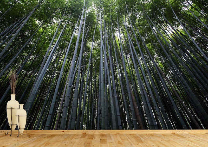 Álamos en el cielo - Mural de fotografias aplicado